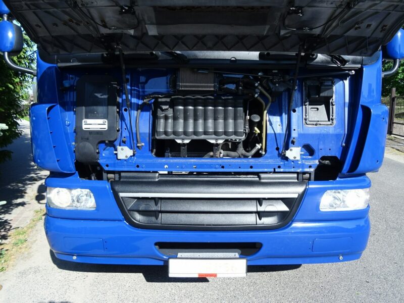 DAF DAF CF 65.220 Euro 5 chłodnia 18 palet winda klapa Sprowadzony DAF CF 65.220 Euro 5 Chłodnia 18 palet drzwi i winda klapa Sprowadzony