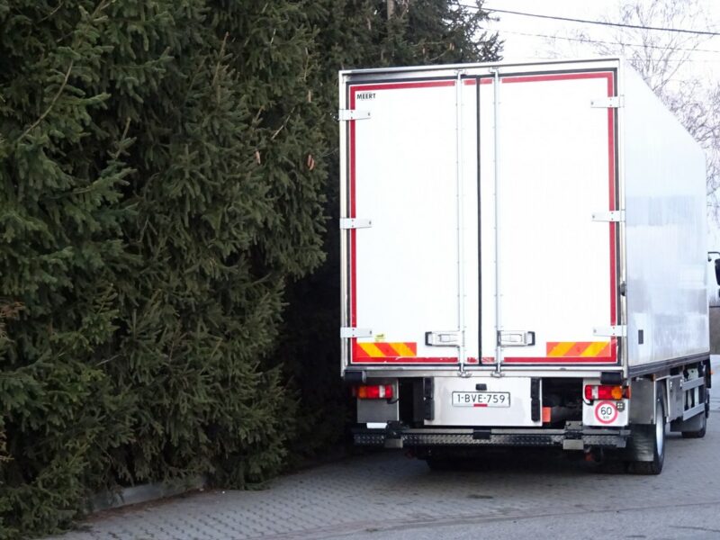 MAN TGM 18.250 Euro 5 chłodnia 20 palet winda sprowadzony MAN TGM 18.250 euro 5 chłodnia carrier supra 950 20 palet ks.serwisowa