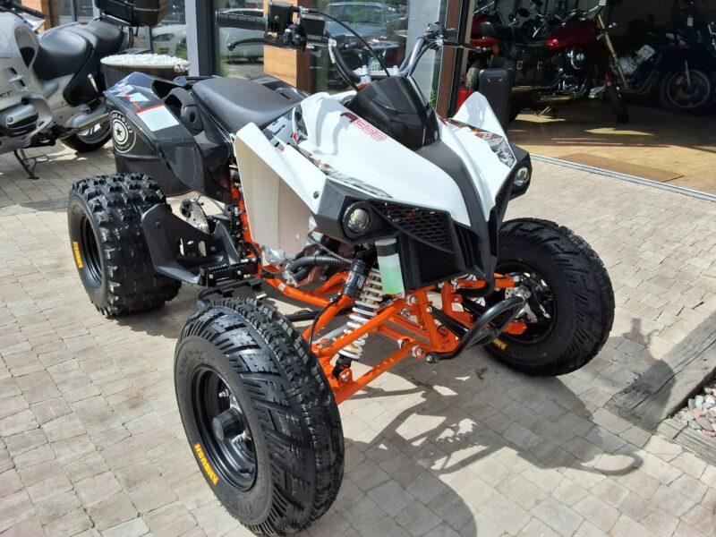 KAYO Inny SALON MOTOCYKLOWY MOTOEAGLES Kayo A300. Sprawdż ofertę i Serwis