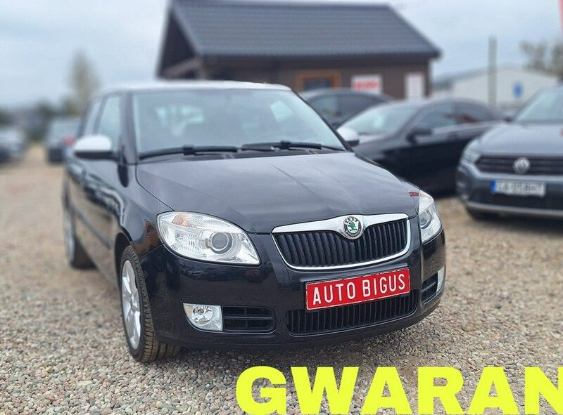 Škoda Fabia fabia sport climatronic 1.6 mpi II (2007-2014)