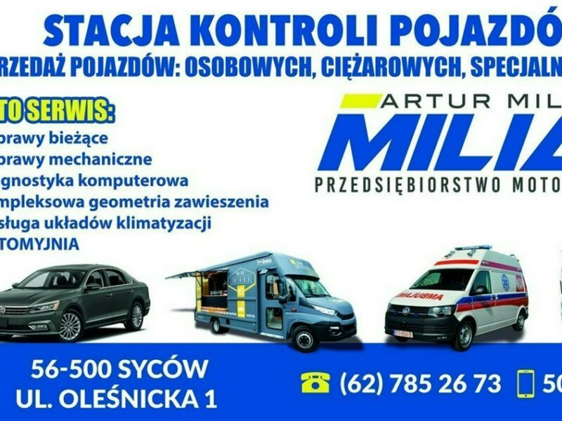 Ford Transit Ford Transit Klima Panel Kamera 167tkm Model 2022