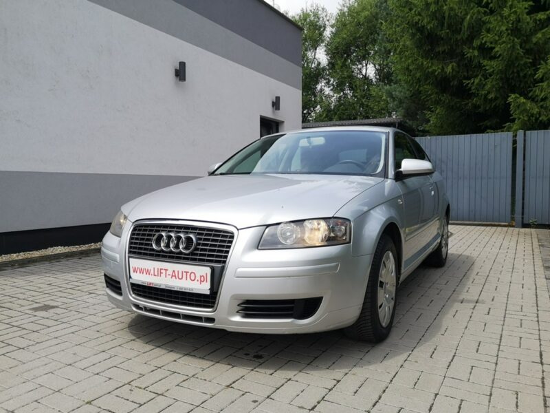 Audi A3 1.9 TDI 105KM Klima Elektryka Po wymianie rozrządu Gwarancja 8P (2003-2012)