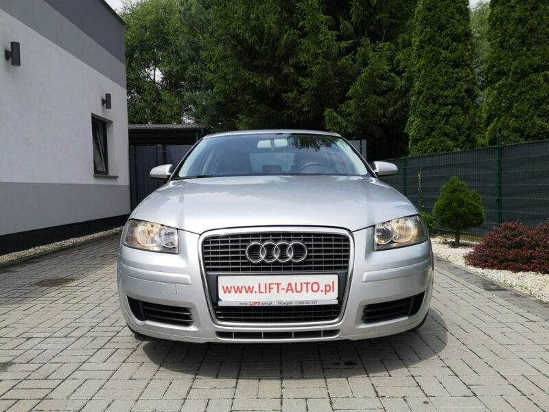 Audi A3 1.9 TDI 105KM Klima Elektryka Po wymianie rozrządu Gwarancja 8P (2003-2012)