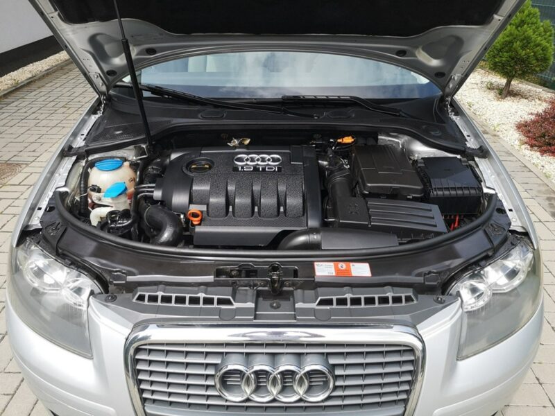 Audi A3 1.9 TDI 105KM Klima Elektryka Po wymianie rozrządu Gwarancja 8P (2003-2012)