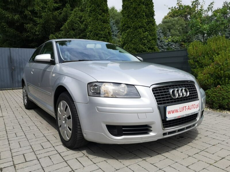 Audi A3 1.9 TDI 105KM Klima Elektryka Po wymianie rozrządu Gwarancja 8P (2003-2012)