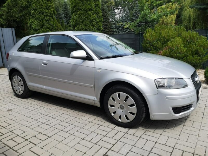 Audi A3 1.9 TDI 105KM Klima Elektryka Po wymianie rozrządu Gwarancja 8P (2003-2012)