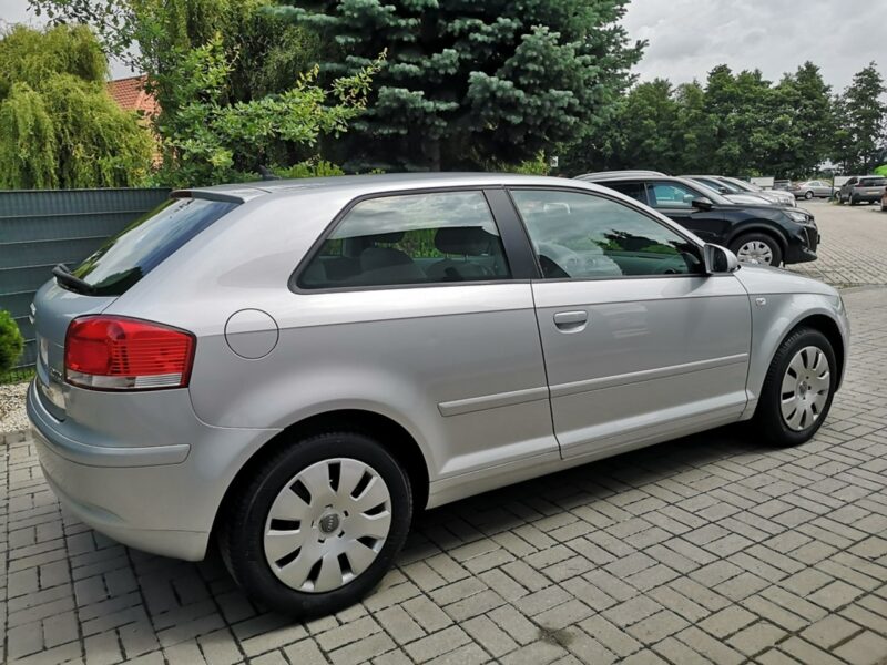 Audi A3 1.9 TDI 105KM Klima Elektryka Po wymianie rozrządu Gwarancja 8P (2003-2012)