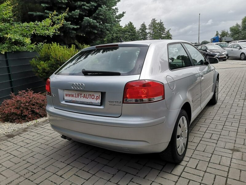 Audi A3 1.9 TDI 105KM Klima Elektryka Po wymianie rozrządu Gwarancja 8P (2003-2012)