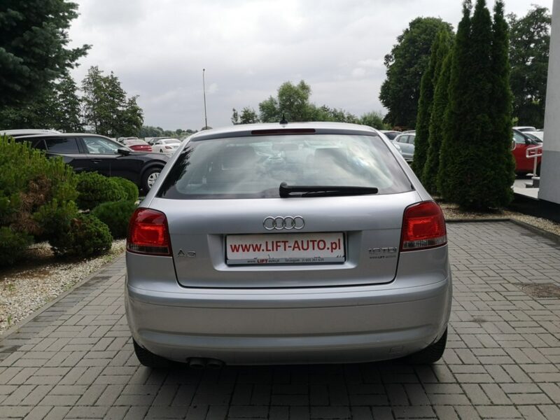 Audi A3 1.9 TDI 105KM Klima Elektryka Po wymianie rozrządu Gwarancja 8P (2003-2012)