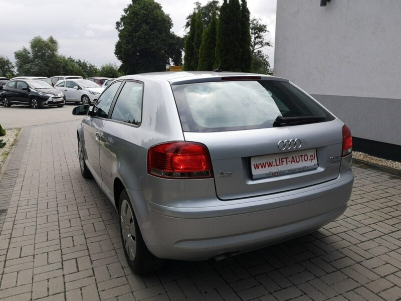 Audi A3 1.9 TDI 105KM Klima Elektryka Po wymianie rozrządu Gwarancja 8P (2003-2012)