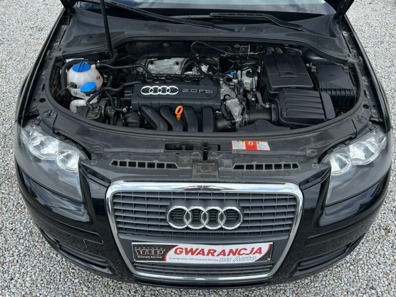Audi A3 -SPRZEDANY- 2.0 Benzyna 150 KM*Super Stan*5 - Drzwi*Możliwa Zamiana 8P (2003-2012)
