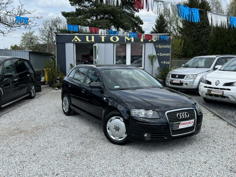 Audi A3 -SPRZEDANY- 2.0 Benzyna 150 KM*Super Stan*5 - Drzwi*Możliwa Zamiana 8P (2003-2012)
