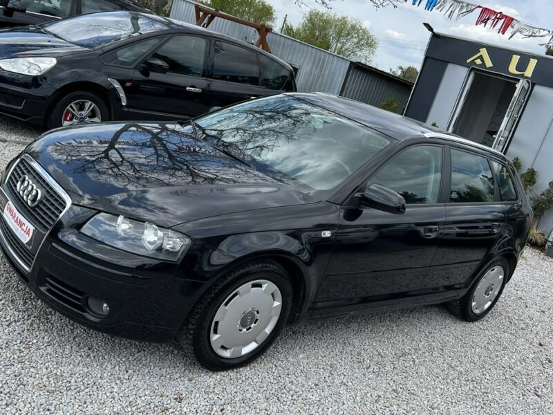 Audi A3 -SPRZEDANY- 2.0 Benzyna 150 KM*Super Stan*5 - Drzwi*Możliwa Zamiana 8P (2003-2012)
