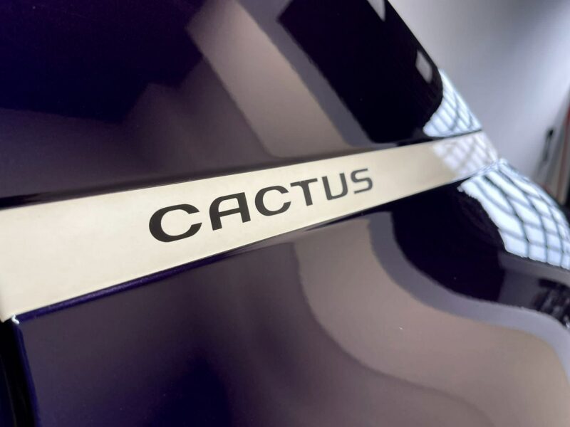 Citroen C4 Cactus 1.2 VTi 82KM*SHINE*ALU*Black Pak*relingi*Navi Kolor*Led*Z Niemiec I (2014-)