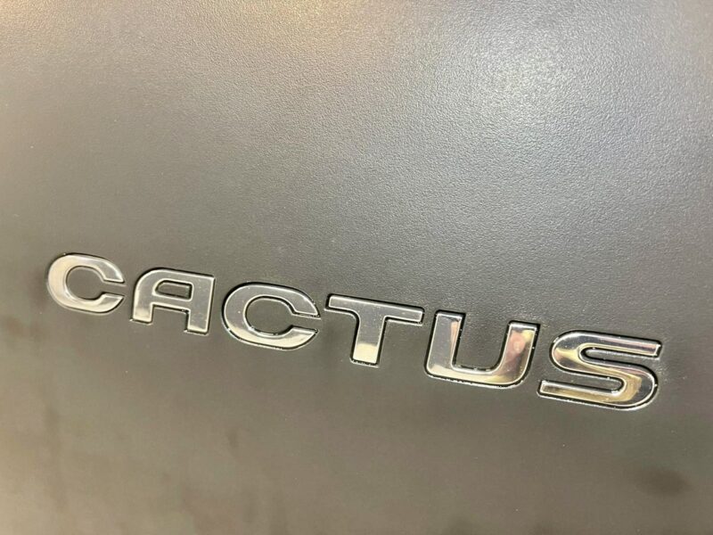 Citroen C4 Cactus 1.2 e-THP*SHINE*Lifting*ALU*Black Pak*relingi*Navi Kolor*Led*Z Niemiec I (2014-)