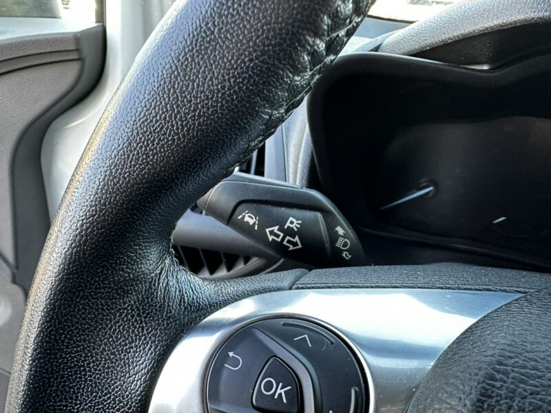 Ford Tourneo Connect Connect dla Niepełnosprawnych rampa inwalida Model 2021 PFRON II (2013-2022)
