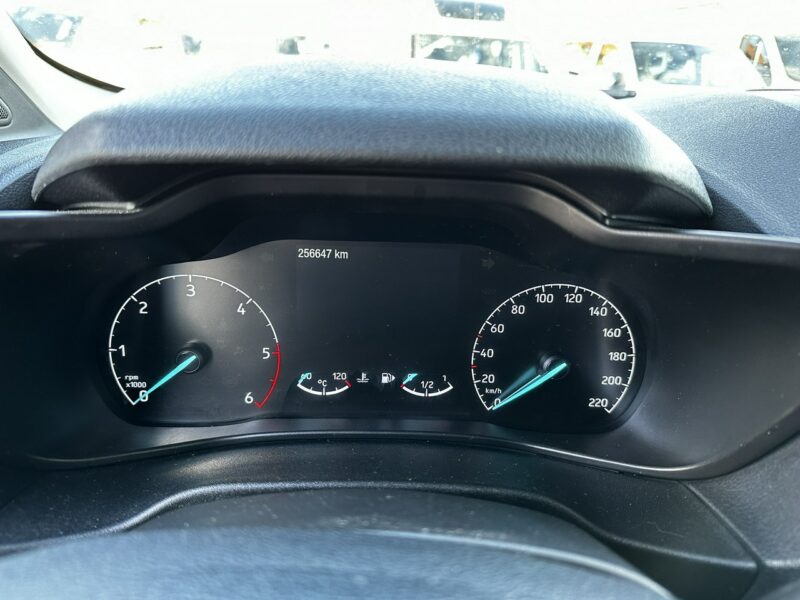 Ford Tourneo Connect Connect dla Niepełnosprawnych rampa inwalida Model 2021 PFRON II (2013-2022)