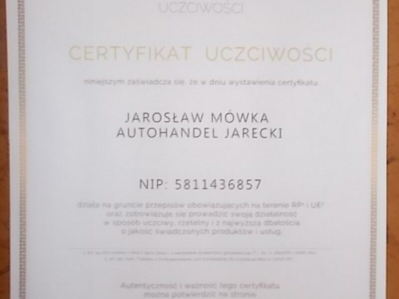 Dacia Dokker Opłacona Zdrowa Zadbana Serwisowana z Klimatyzacją 1 Wł