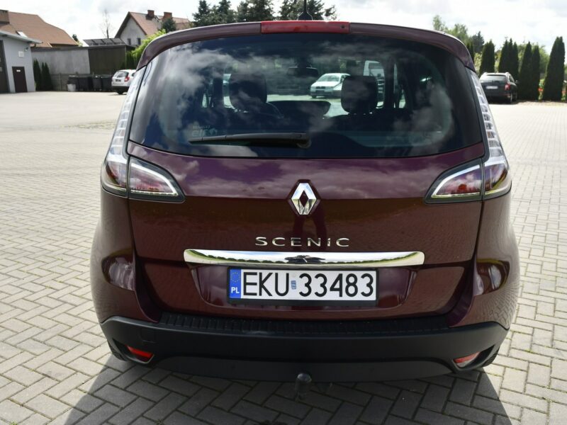 Renault Scenic 2,0benz DUDKI11 Automat,Ledy,Navi,Kam.Cofania.Hands-Free.OKAZJA III (2009-2016)
