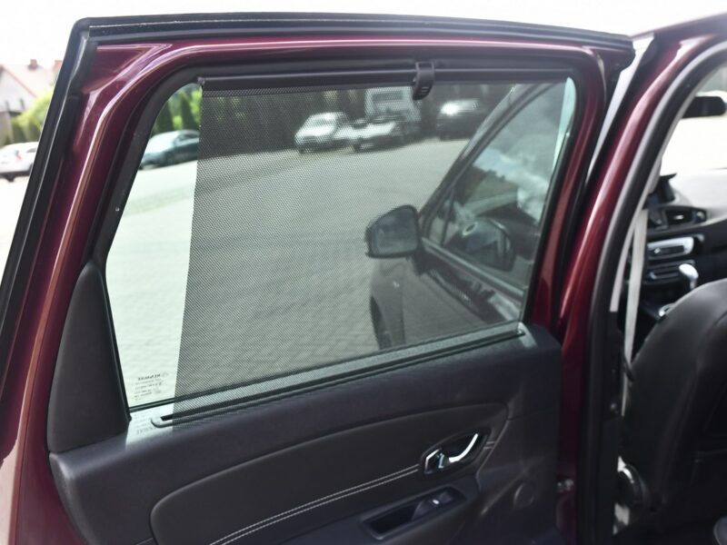 Renault Scenic 2,0benz DUDKI11 Automat,Ledy,Navi,Kam.Cofania.Hands-Free.OKAZJA III (2009-2016)
