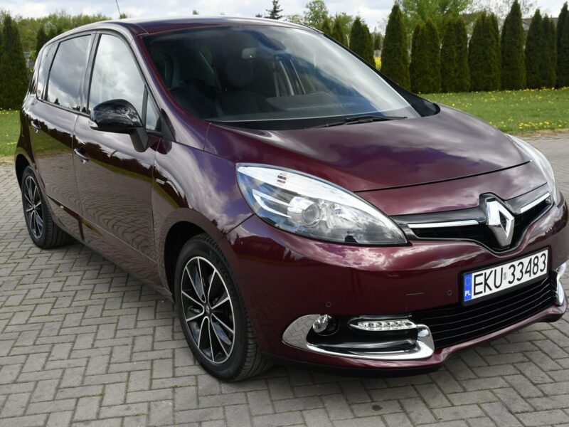 Renault Scenic 2,0benz DUDKI11 Automat,Ledy,Navi,Kam.Cofania.Hands-Free.OKAZJA III (2009-2016)