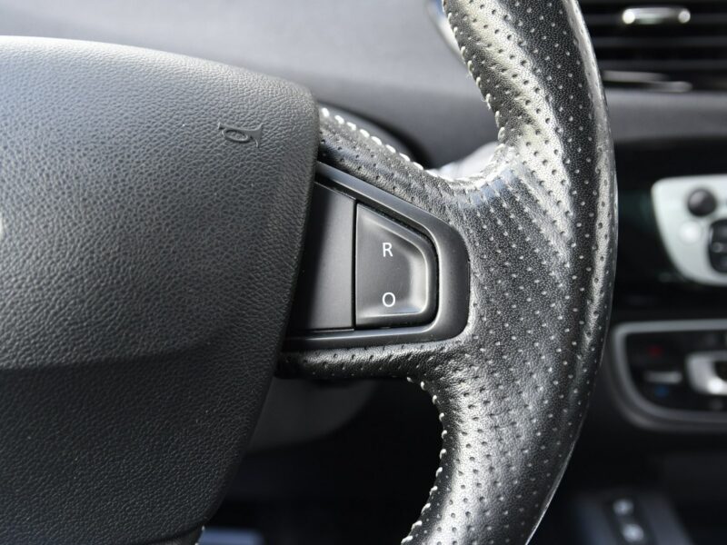 Renault Scenic 2,0benz DUDKI11 Automat,Ledy,Navi,Kam.Cofania.Hands-Free.OKAZJA III (2009-2016)