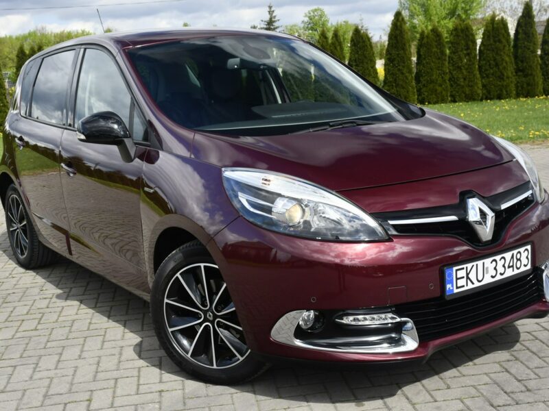 Renault Scenic 2,0benz DUDKI11 Automat,Ledy,Navi,Kam.Cofania.Hands-Free.OKAZJA III (2009-2016)