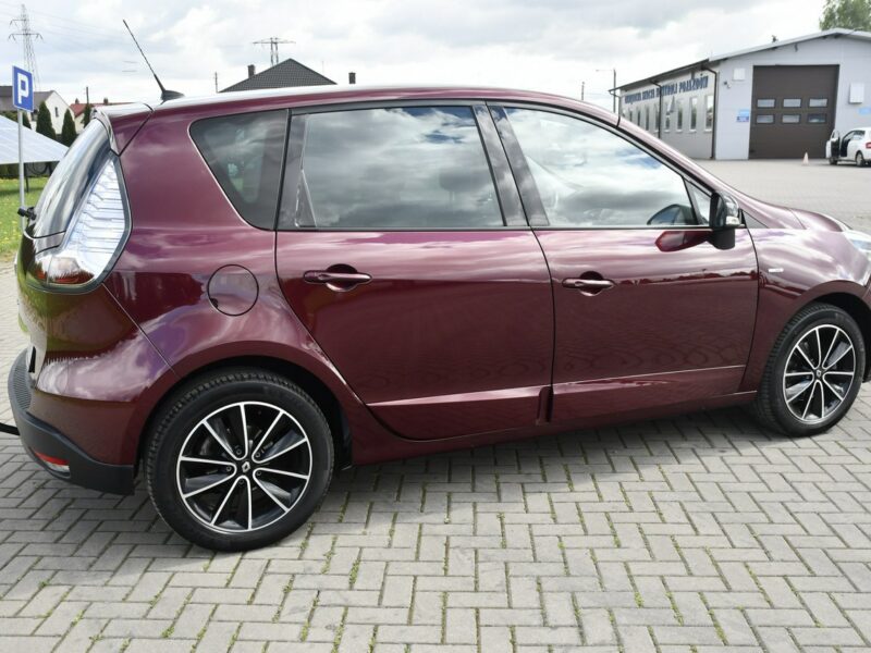Renault Scenic 2,0benz DUDKI11 Automat,Ledy,Navi,Kam.Cofania.Hands-Free.OKAZJA III (2009-2016)