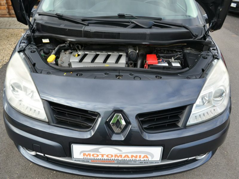 Renault Scenic Climatronic*Lift*Tempomat*2.0 135KM*Zadbany II (2003-2009)