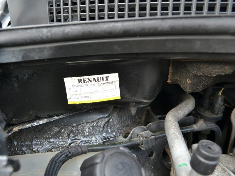 Renault Scenic Climatronic*Lift*Tempomat*2.0 135KM*Zadbany II (2003-2009)
