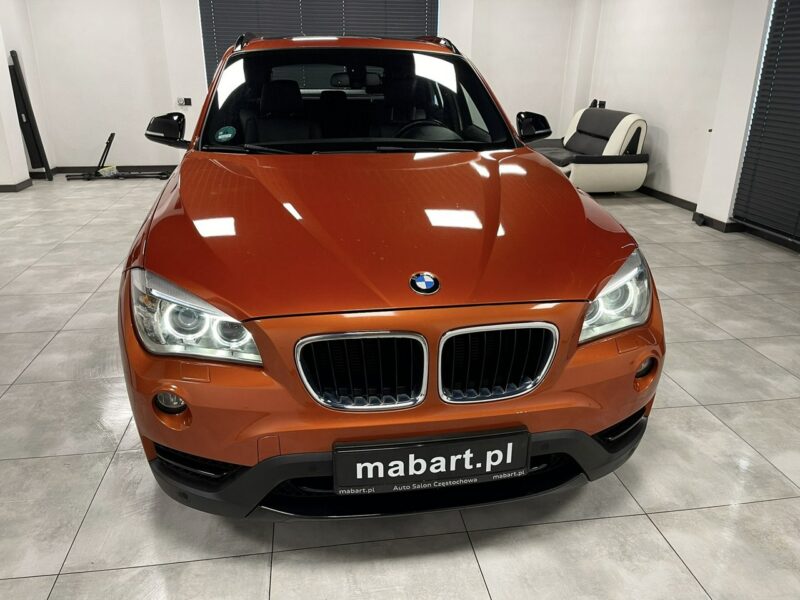 BMW X1 25d xDrive 218PS*SPORT LINE*Navi Professional*HiFi*Alu 18*Łopatki*Full I (E84) (2009-2015)