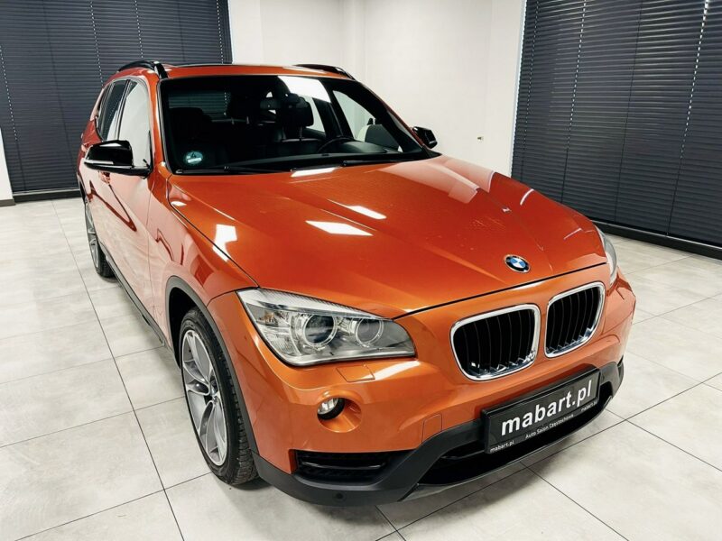 BMW X1 25d xDrive 218PS*SPORT LINE*Navi Professional*HiFi*Alu 18*Łopatki*Full I (E84) (2009-2015)