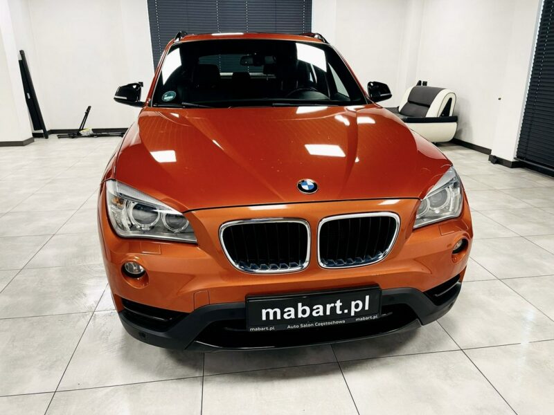 BMW X1 25d xDrive 218PS*SPORT LINE*Navi Professional*HiFi*Alu 18*Łopatki*Full I (E84) (2009-2015)
