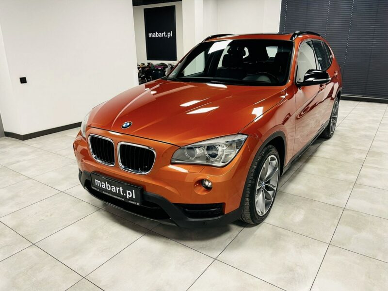 BMW X1 25d xDrive 218PS*SPORT LINE*Navi Professional*HiFi*Alu 18*Łopatki*Full I (E84) (2009-2015)