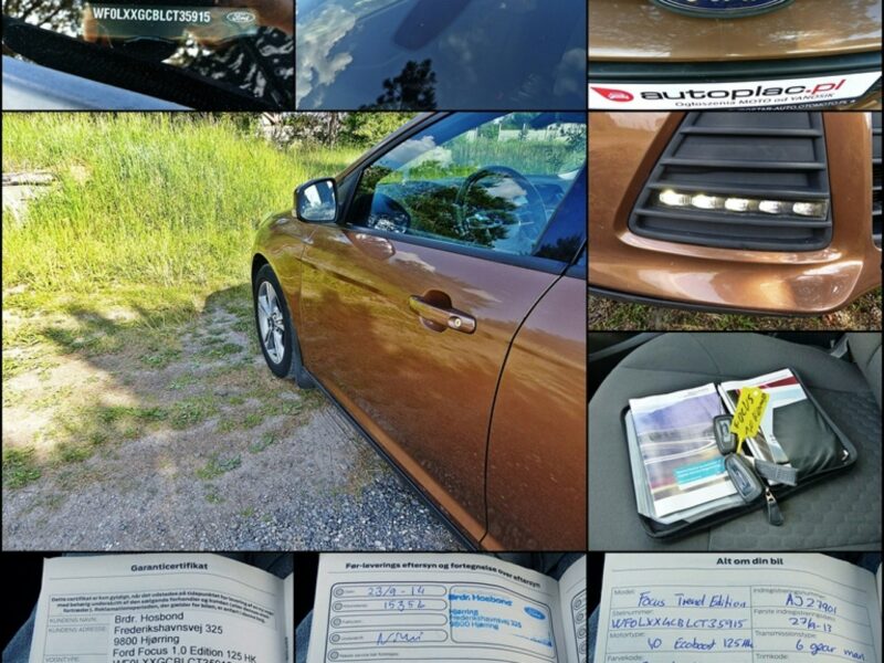 Ford Focus 1.0 EB*GOLDx*Klima*Pełna Elektryka*Alu*Śliczny Kolor*Top Stan*ZOBACZ!! Mk3 (2010-2018)