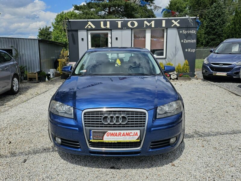 Audi A3 -SPRZEDANY- ŚLICZNE A3 8P 1.4 Benzyna125KM * Gwarancja w cenie 8P (2003-2012)