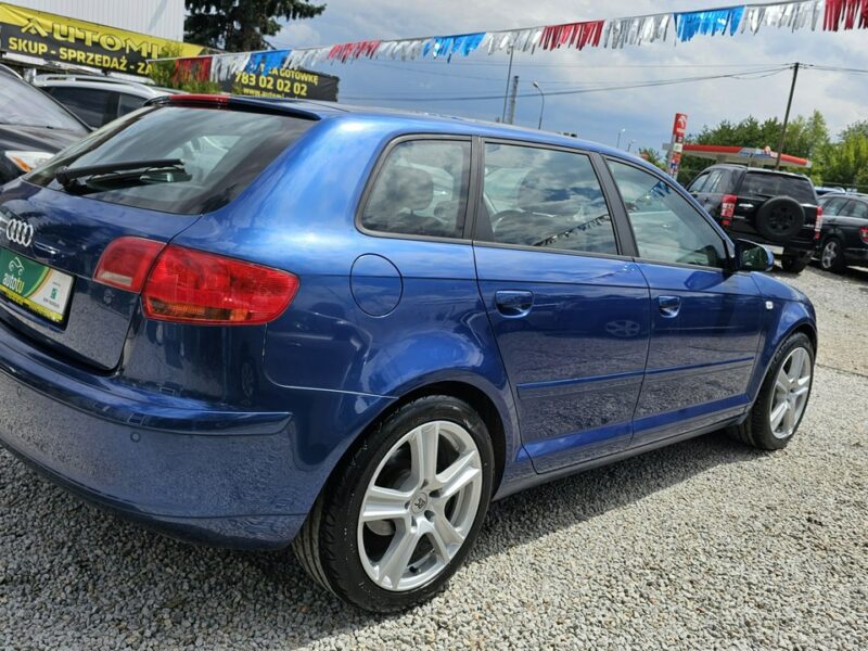 Audi A3 -SPRZEDANY- ŚLICZNE A3 8P 1.4 Benzyna125KM * Gwarancja w cenie 8P (2003-2012)