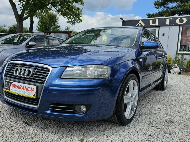 Audi A3 -SPRZEDANY- ŚLICZNE A3 8P 1.4 Benzyna125KM * Gwarancja w cenie 8P (2003-2012)