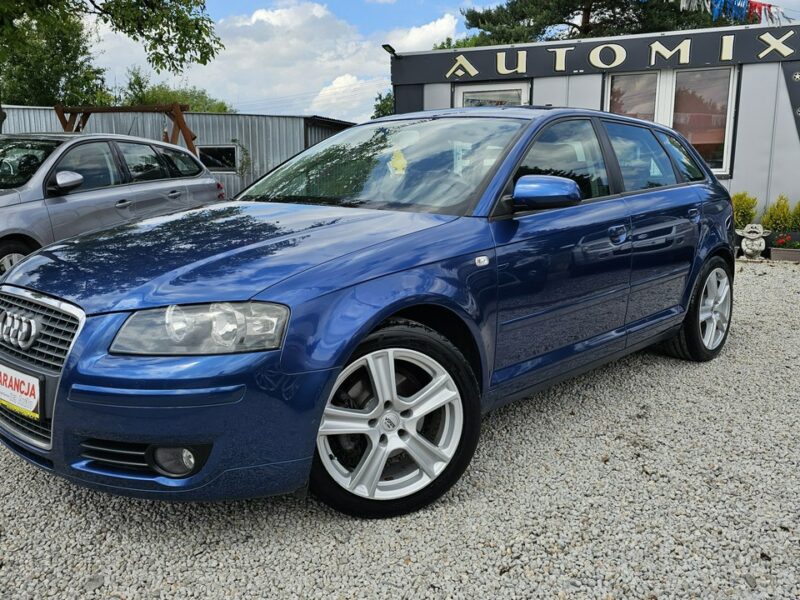 Audi A3 -SPRZEDANY- ŚLICZNE A3 8P 1.4 Benzyna125KM * Gwarancja w cenie 8P (2003-2012)