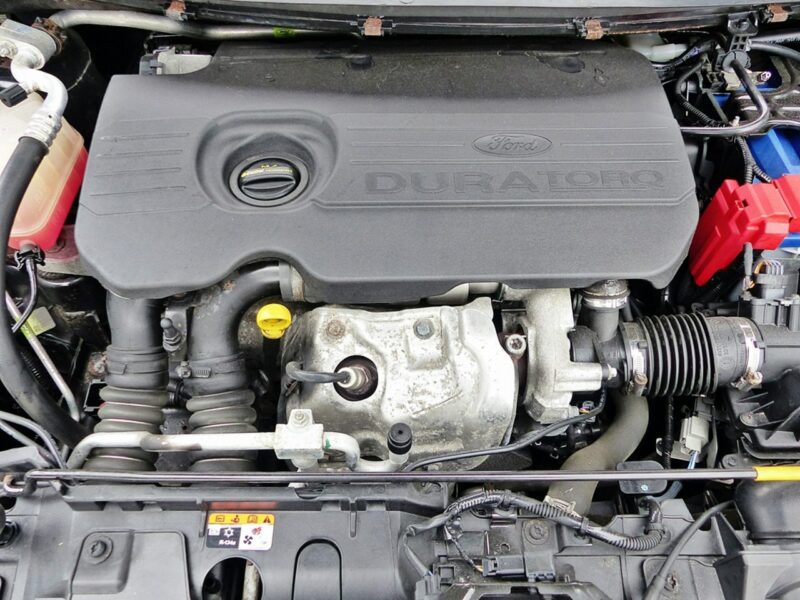 Ford Fiesta 1.5 TDCI*BLACK LINE*Klima*Alu*PDC*Elektryka*Podgrz.Fotele*Super Stan! Mk7 (2008-)