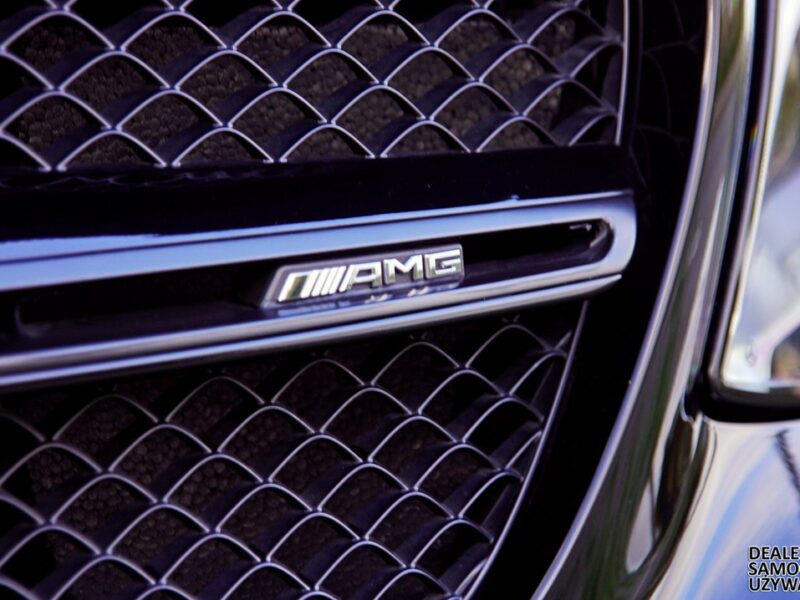 Mercedes GLE 43 AMG 4Matic+ MA ABSOLUTNIE WSZYSTKO - Gwarancja Raty Zamiana W166 (2015-2019)