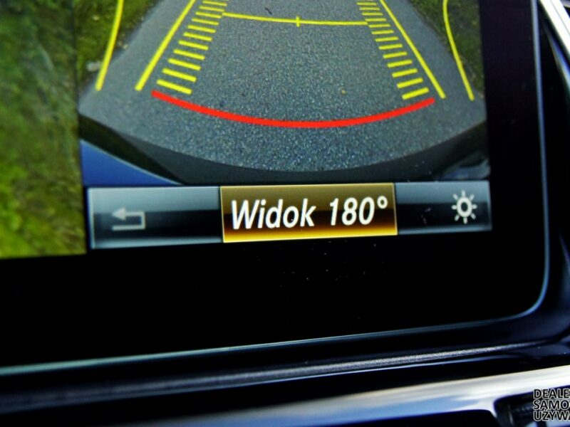 Mercedes GLE 43 AMG 4Matic+ MA ABSOLUTNIE WSZYSTKO - Gwarancja Raty Zamiana W166 (2015-2019)