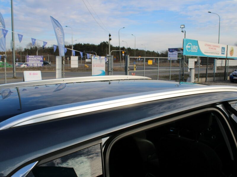 Renault Megane Kombi Business F-vat Gwarancja Salon PL IV (2016-)