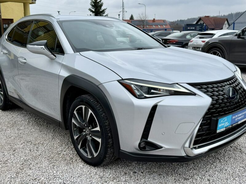 Lexus UX 250h,Hybryda,4x4,Gwarancja