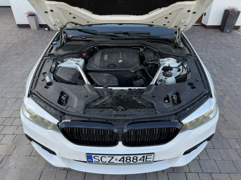 BMW 520 2.0 190KM XDrive kamery 360 M Pakiet Brutto krajówka G30/G31 (2017-2023)