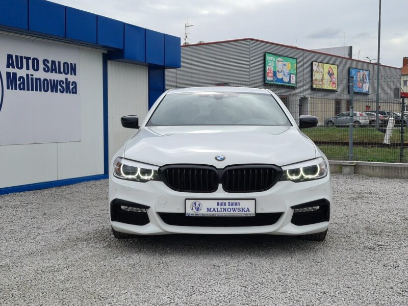 BMW 520 Salon PL M-Pakiet Navi Kamera 2xPDC Grzane Fotele Klimatronik Alu G30/G31 (2017-2023)