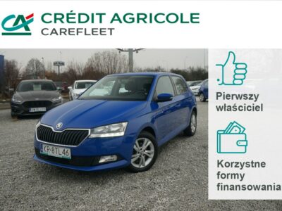 Škoda Fabia 1.0 TSI/95 KM Ambition Salon PL Faktura Vat 23% KR8TL46 III (2014-)