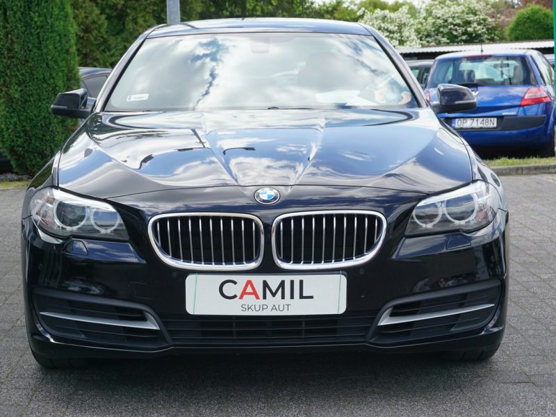 BMW 518 polski salon, pierwszy właściciel, serwis w ASO, rok gwarancji, F10 (2009-2017)