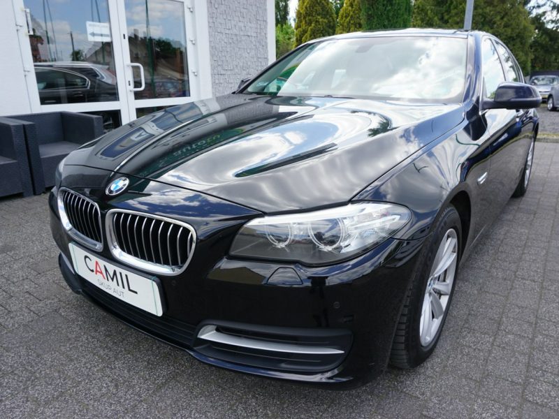 BMW 518 polski salon, pierwszy właściciel, serwis w ASO, rok gwarancji, F10 (2009-2017)