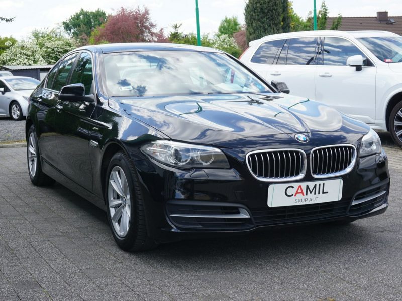 BMW 518 polski salon, pierwszy właściciel, serwis w ASO, rok gwarancji, F10 (2009-2017)